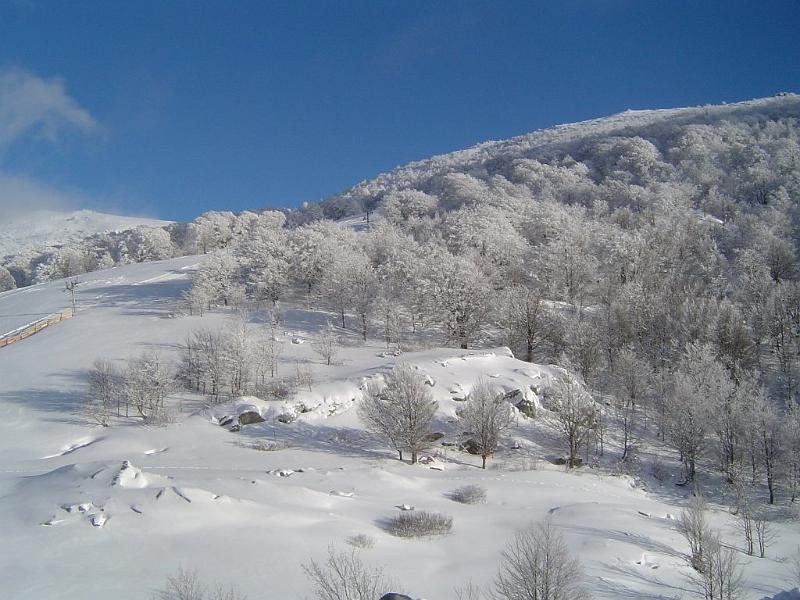 2008-01-13 EZE (10).JPG